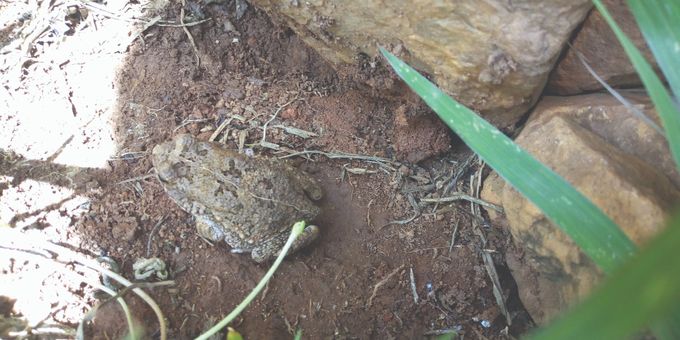 Gwe zisanga azigumira, ekikere kisula kitudde